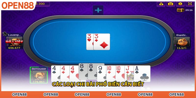 Các loại chi bài phổ biến cần biết